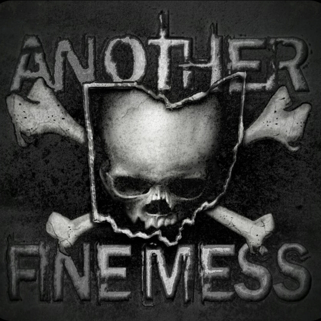 Another Fine Mess Band in Newark OH