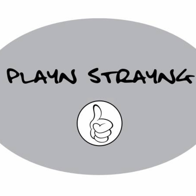 Playn Strayng Musician in Baroda MI