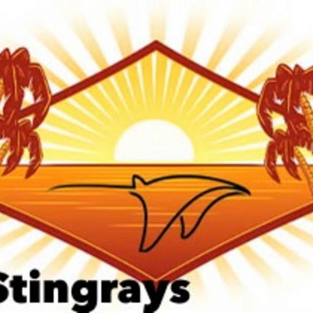The Stingrays Band in Hamburg NY