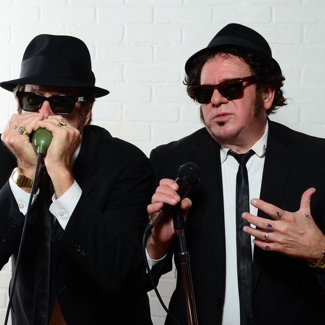 Briefcase Blues Band in Dallas TX