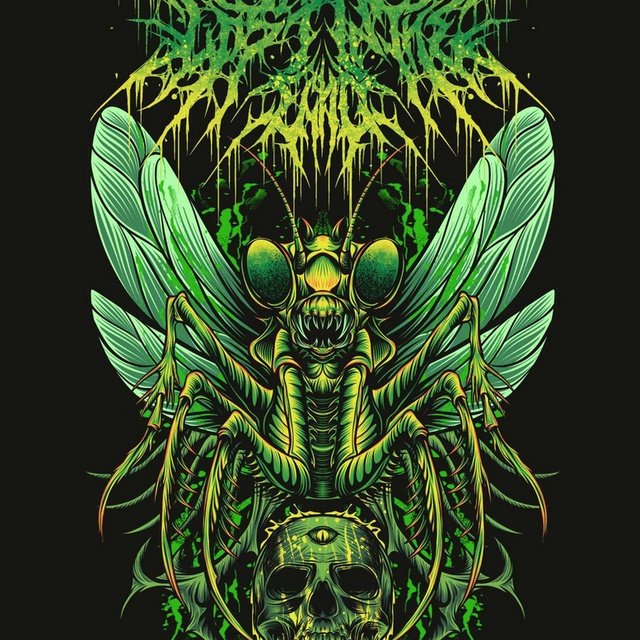 Lost In The Echo - Band in Crest Hill IL - BandMix.com