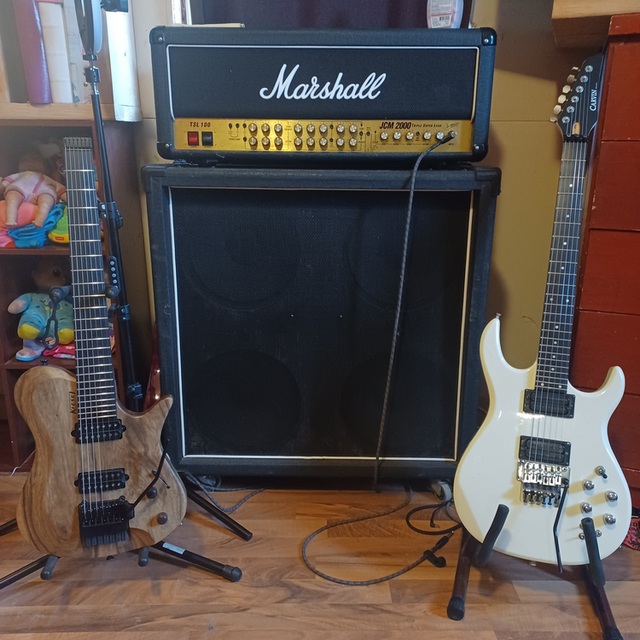 james1755813 Musician in Neshkoro WI