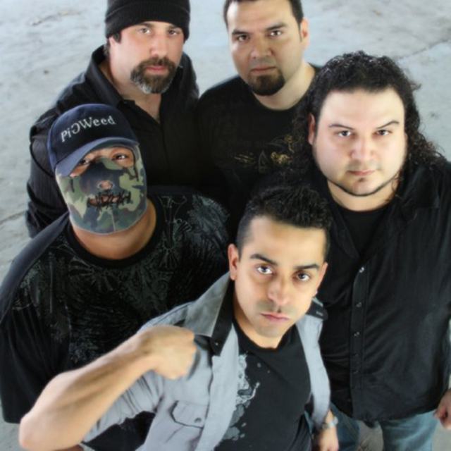 PigWeed Seeking Drummer Band in San Antonio TX