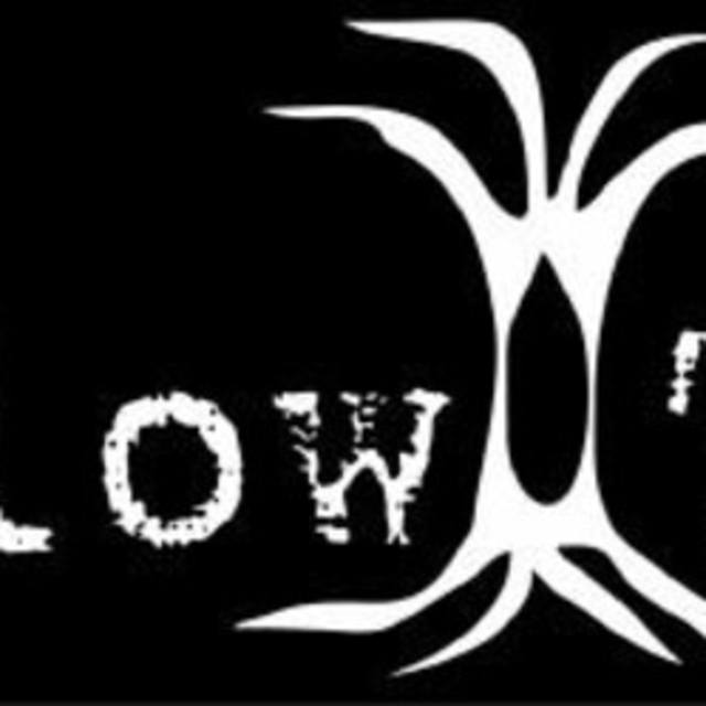 Hollow Tree Band in Buzzards Bay MA