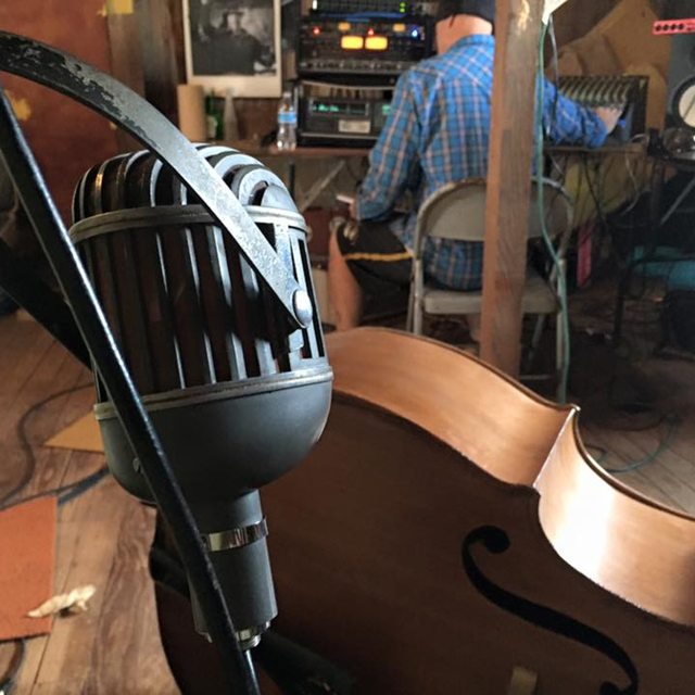 Tim upright bass Musician in Kansas City MO