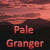 The Pale Granger Band