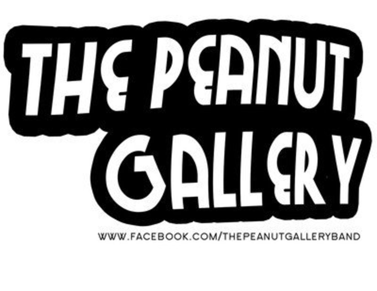 The Peanut Gallery Band in Waterloo IL