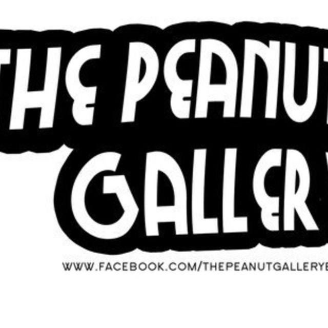 The Peanut Gallery Band in Waterloo IL