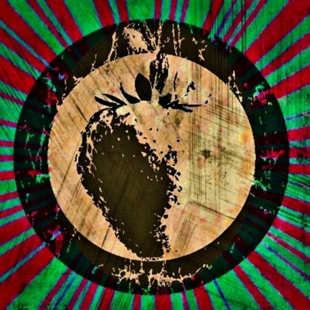 The Strawberry Jam Band Band in Appleton WI