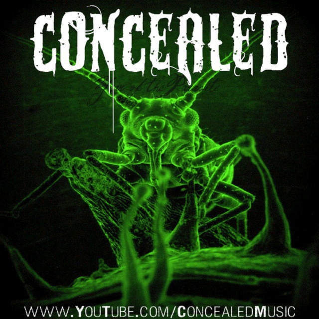 CONCEALED